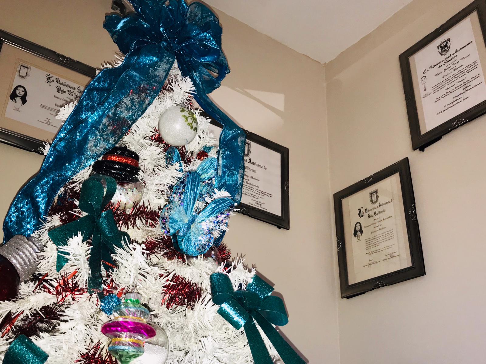 Vega Endodontics Clinic