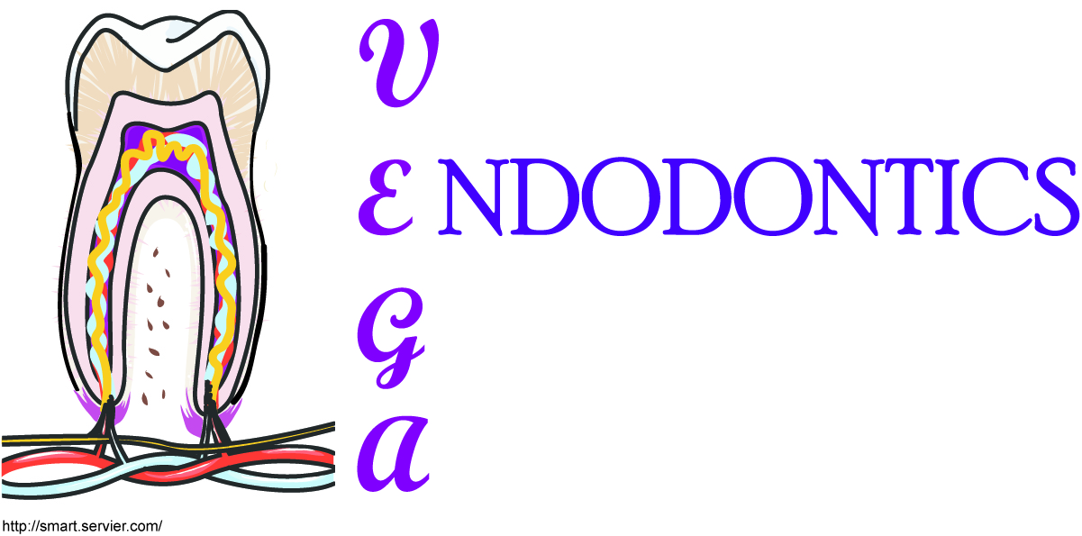 Vega Endodontics Logo